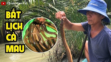 #6 Bắt Lịch Ở Cà Mau Quá Dễ Dàng | 6 Tuấn Miền Tây