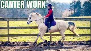 Building Confidence in the Canter! Riding Arlo & Showing Our Technique by Free Spirit Equestrian 42,201 views 2 months ago 23 minutes