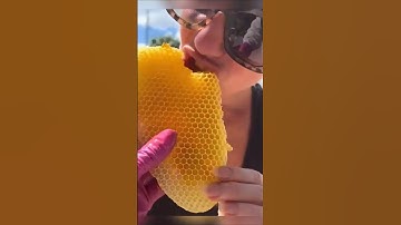 Why Is HoneyComb A Hexagon 🌻🍯🐝💛⏣ #science #sciencefacts #facts #bee #honey #hexagon