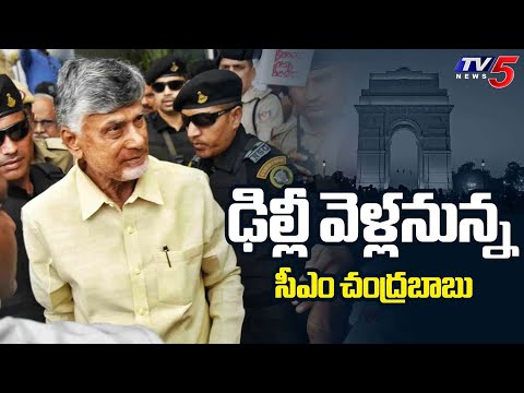 డిల్లీకి సీఎం చంద్రబాబు...AP CM Chandrababu Naidu Delhi Schedule - TV5NEWS