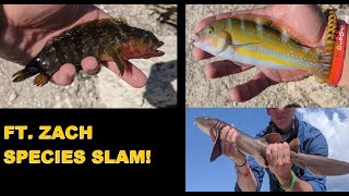 Fort Zach Species Slam: COOL SPECIES!!