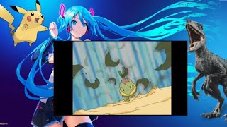 Turtwig vs Rampardos