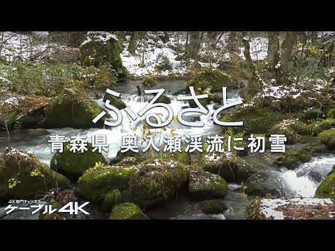 奥入瀬　森谷繁　渓響 奥入瀬 森谷繁 渓響 - メルカリ