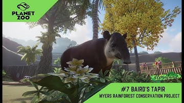 PLANET ZOO | MYERS RAINFOREST CONSERVATION PROJECT WALKTROUGH 7 | BAIRD