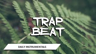 TRAP BEAT INSTRUMENTAL 2017 | FREE Rap Beat | Trap Type Beat (Trap HiTmaker - Dirty Sprite)