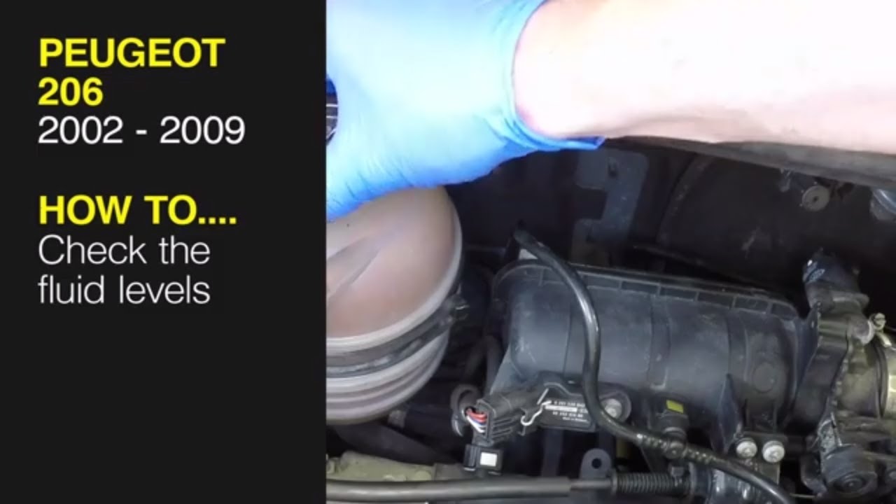 How to Check the fluid levels on a Peugeot 206 2002 to 2009 - YouTube