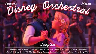 💛 disney fairytale dance filled with love and light ✨ soft symphonic melodies to relax, unwind screenshot 5