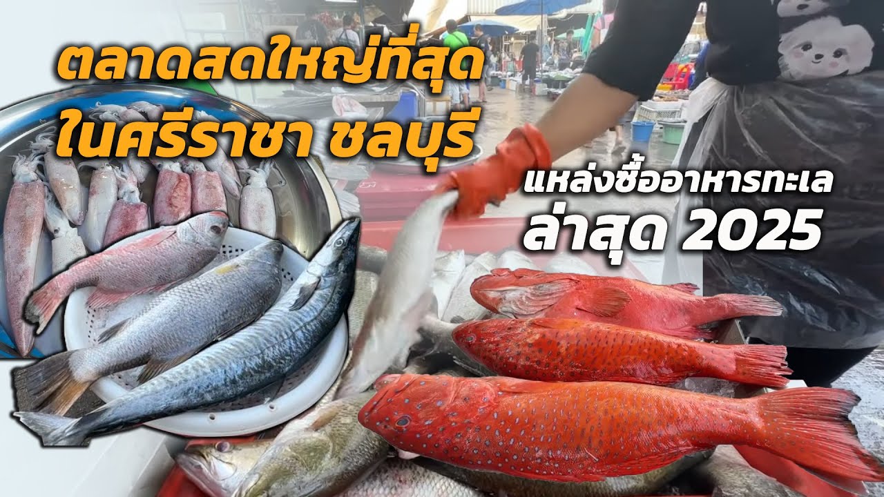 ตลาดสดใหญ่ที่สุดในศรีราชา ชลบุรี ล่าสุด