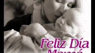 Video thumbnail of "Amor de Madre Lucio Laine"