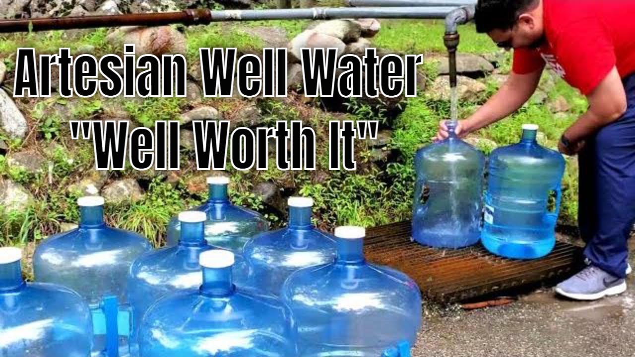 Artesian Well Water Procurement (150 gallons) in a Tesla - Stokes State Forest