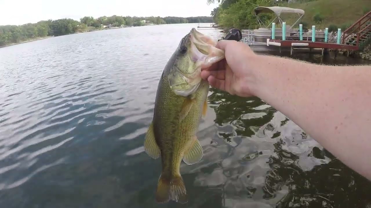 Fall Junk Fishing for big bass