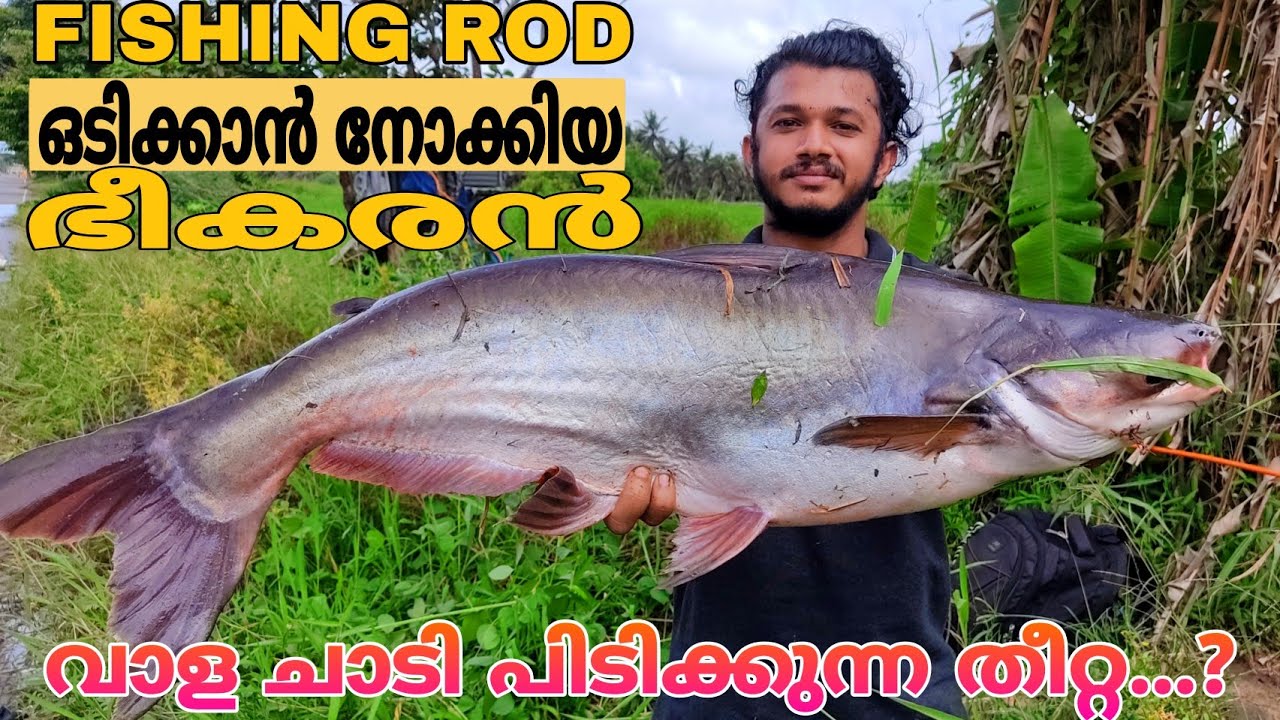 കൂരി വാളയും തമ്മിലുള്ള കിടിലൻ ഫൈറ്റും, വാളയെ ചാടി അടിപിക്കാൻ ഉള്ള തീറ്റയും