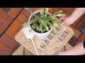 植木鉢スタンドで便利なミニテーブル DIY【CAINZ DIY STYLE】