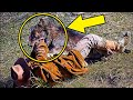 A Guy Fed a Trapped Wolf for 7-Days Then 5-Years Later They Met Again In The Forest