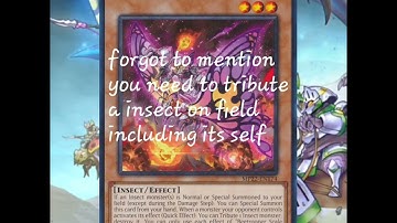 Breakdown of my beetrooper turn 1 combo