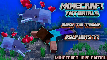 How to tame Dolphins in Minecraft?