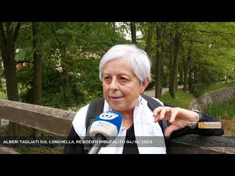 ALBERI TAGLIATI SUL LONGHELLA, RESIDENTI IMBUFALITI | 04/10/2023