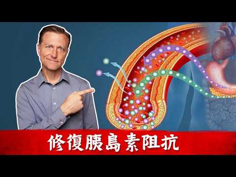 胰島素1. 胰島素阻抗,降血糖7秘訣, 保護肝,胰,減肥,燃燒脂肪肝很容易! 柏格醫生 Dr Berg