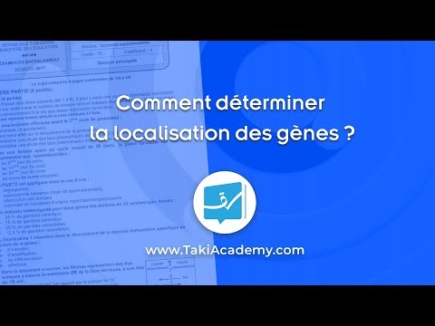 Vidéo: Quelle est la localisation précise d'un gène sur un chromosome ?