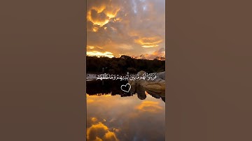 أرح سمعك 🤍🌿 ستوريات انستا قران كريم ايات قرانية قصيرة || حالات واتس قران صوت #القارئ_احمد_حمادي 🤍🌿