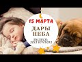 15.3 -Дары Неба - 2021/Школа Ангелов/Лена Воронова