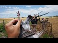 Pigeon Hunting Got Western and We Shot A Special Band!!