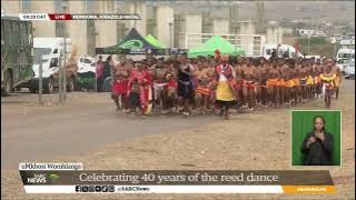 Reed Dance | Thousands of maidens to descend on AmaZulu Royal Palace of Enyokeni