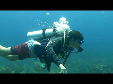 Belize   Dive 10 - Ambergris Caye - Cypress Canyons