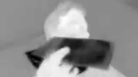 Flir Lepton3 on BeagleBone Blue #1