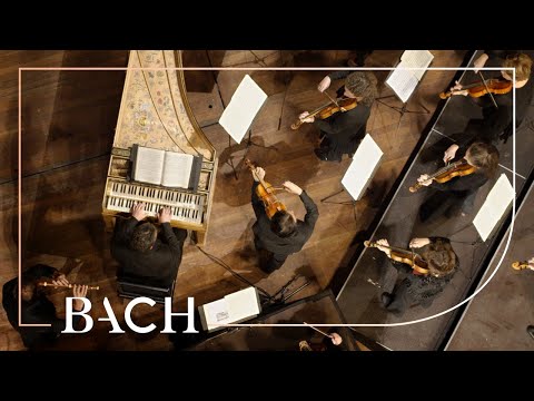 Bach - Orchestral Suite No. 2 in B minor BWV 1067 - Sato | Netherlands Bach Society