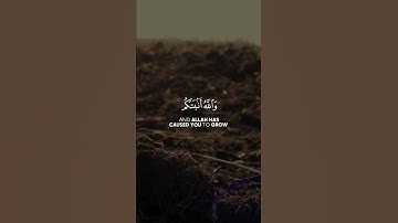 الم تروا كيف خلق الله سبع سموات #احمد_خضر #ahmed_khder #سورة_نوح #islamicquote #تلاوات_خاشعة #حالات