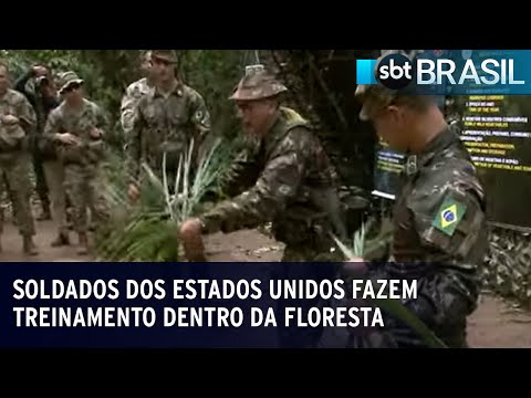 Exército Brasileiro fará exercício com Exército dos EUA em ambiente de selva