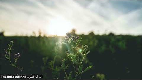 سورة الفاتحة بصوت القارئ قاسم شبلي #تلاوة #القرآن_الكريم #قرآن #القرآن #قران #quran
