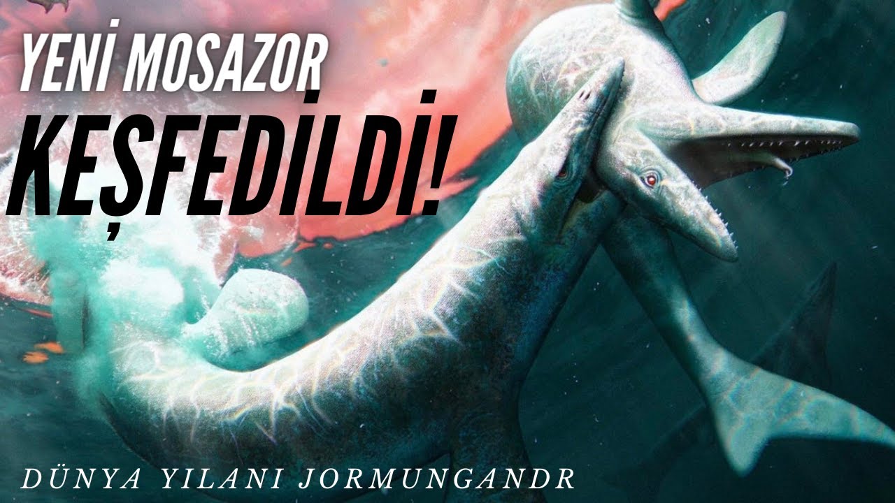Yeni Bir Mosasaur Keşfedildi! - YouTube