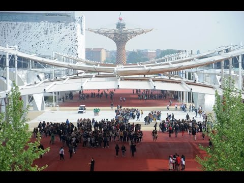 Video: Kako će Se Ruska Izložba Predstaviti Na EXPO