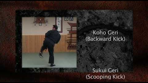 Ninja Training: Kicking - Keri Demonstration, 8th Kyu, Ninjutsu, Bujinkan
