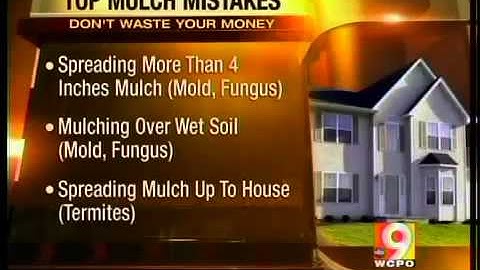 3 biggest mulch mistakes homeowners make