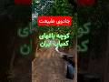 گشتی در کوچه باغ های زیباترین روستا ایران جادوی طبیعت The Magic Of Nature Shorts Garden Alley Old 