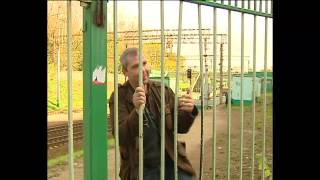 Корреспондент застрял в заборе