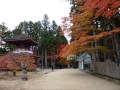 高野山の紅葉・徳川家霊台