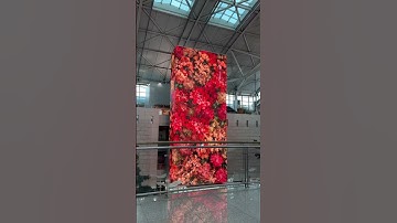 digital interactive screen #digitalart #interactiveart #digitalscreen #digitalartists #art