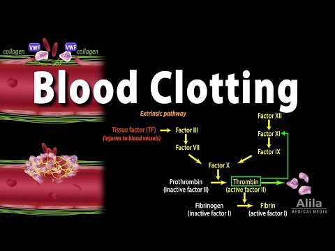 Video: Ved blodkoagulering er faktoren som aktiveres først?