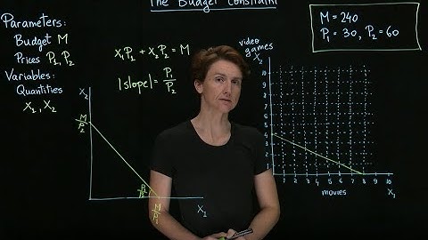 The budget constraint