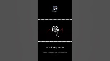 أرح قلبك 💚🎧 من سورة هود للقارئ ماهر المعيقلي مترجم