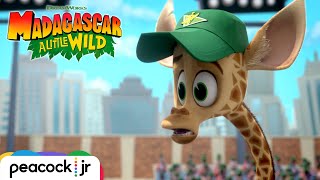 Baseball Game Craziness | MADAGASCAR A LITTLE WILD