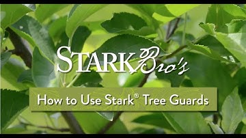 How to Use Stark® Tree Guards