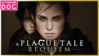 ЧУМОВОЙ СИКВЕЛ ► A PLAGUE TALE: REQUIEM ● ОЗВУЧКА GAMESVOICE ● ПРОХОЖДЕНИЕ #1