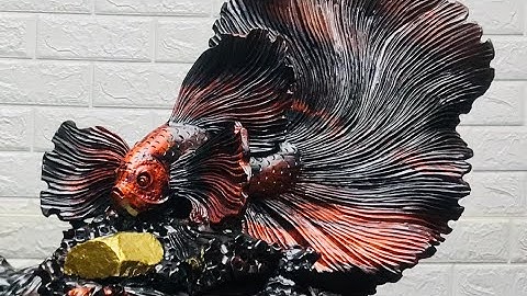 Săn hàng đẹp giá rẻ| Cá xiêm gỗ Trắc đỏ đen cực đẳng cấp