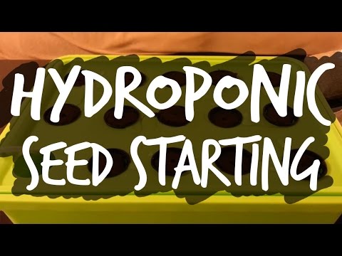 Hydroponic Seed Starting