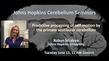 Robyn Mildren: Predictive processing of self-motion by the primate vestibular cerebellum